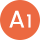 A1