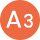 A3