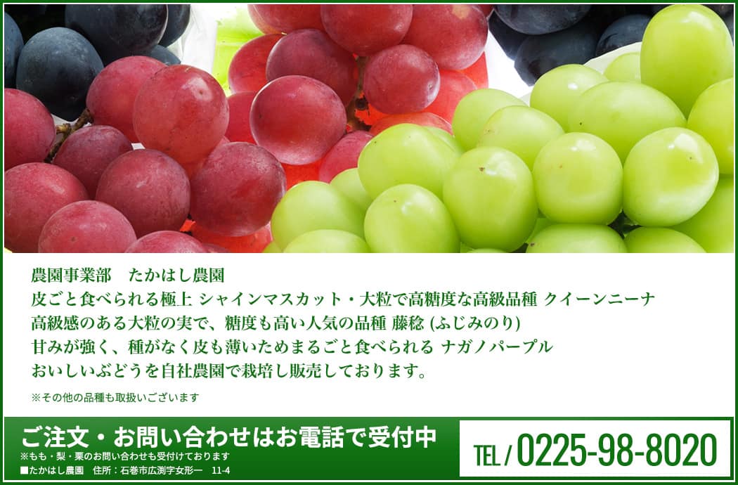 皮ごと食べられる極上 シャインマスカット・大粒で高糖度な高級品種 クイーンニーナ高級感のある大粒の実で、糖度も高い人気の品種 藤稔 (ふじみのり)甘みが強く、種がなく皮も薄いためまるごと食べられる ナガノパープルおいしいぶどうを取り揃えて販売しています。！