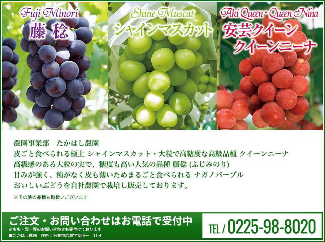 皮ごと食べられる極上 シャインマスカット・大粒で高糖度な高級品種 クイーンニーナ高級感のある大粒の実で、糖度も高い人気の品種 藤稔 (ふじみのり)甘みが強く、種がなく皮も薄いためまるごと食べられる ナガノパープルおいしいぶどうを取り揃えて販売しています。！