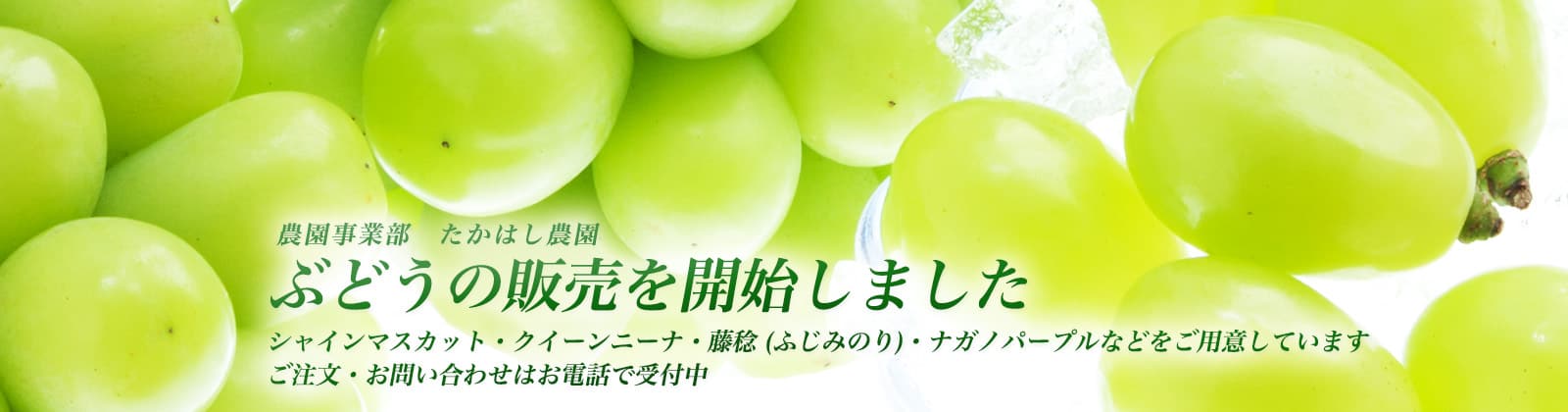 ぶどうの販売を開始しました