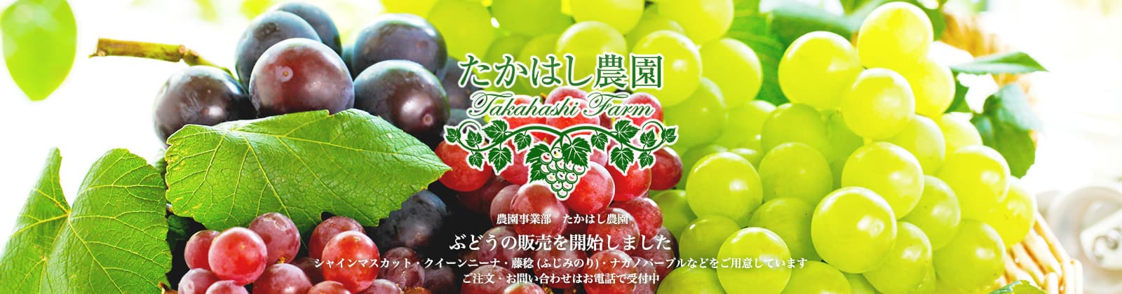 ぶどうの販売を開始しました